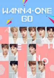 WANNA ONE GO 2017