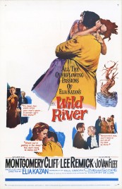 watch free Wild River hd online