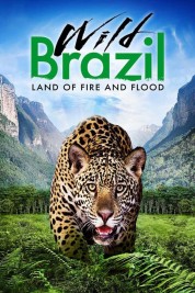 Watch Free Wild Brazil Full Movies Bflix