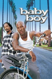 Watch Free Baby Boy Full Movies Bflix