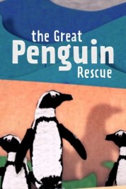 Watch Free The Great Penguin Rescue Full Movies Bflix