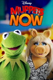 Watch Free Muppets Now Full Movies Bflix