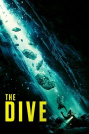 Watch Free The Dive Full Movies Bflix