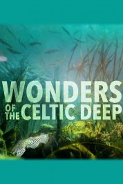 Watch Free Wonders of the Celtic Deep Full Movies Bflix