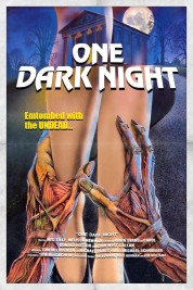 Watch Free One Dark Night Full Movies Bflix