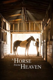 Watch Free A Horse from Heaven Full Movies Bflix