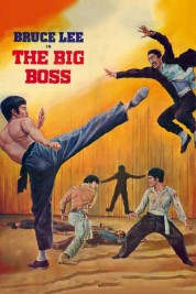 Watch Free The Big Boss Full Movies Bflix