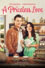 Watch Free A Priceless Love Full Movies Bflix