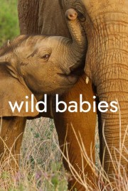 Watch free Wild Babies movies online