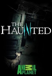 The Haunted-hd