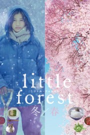 Little Forest: Winter/Spring-hd