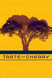 Watch free Taste of Cherry movies online