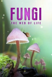 Fungi: The Web of Life-hd