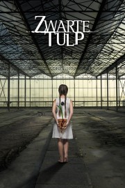 Watch free Black Tulip movies online