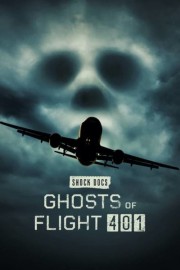 Watch free Ghosts of Flight 401 movies online