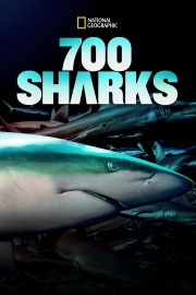 Watch free 700 Sharks movies online - Himovies