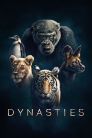 Dynasties-hd