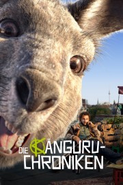 The Kangaroo Chronicles-hd