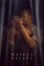 Naples in Veils-hd