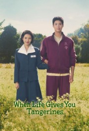 Watch free When Life Gives You Tangerines movies online