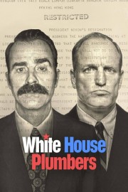 Watch free White House Plumbers movies online