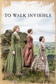 Watch free To Walk Invisible movies online