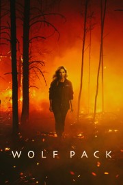 Watch free Wolf Pack movies online