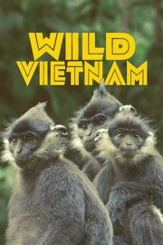Watch free Wild Vietnam movies online - HiMovies