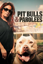 Watch free Pit Bulls and Parolees movies online