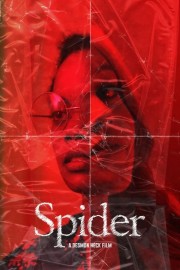 Spider-hd