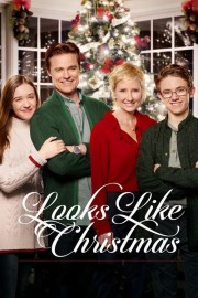 Watch free Looks Like Christmas movies online