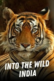 Watch free Into the Wild: India movies online