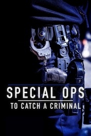 Watch free Special Ops: To Catch A Criminal movies online