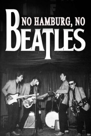 Watch free No Hamburg No Beatles movies online