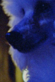 Watch Free Two Sisters Who Are Not Sisters Movies HD Online Dramacool Site