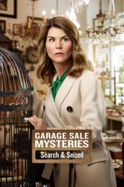 Watch free Garage Sale Mysteries: Searched & Seized movies online