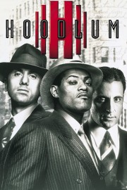 Watch free Hoodlum movies online