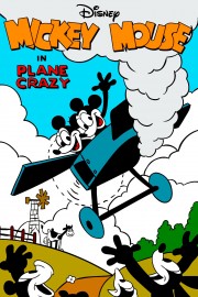 Plane Crazy-hd