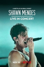 Watch free Shawn Mendes: Live in Concert movies online