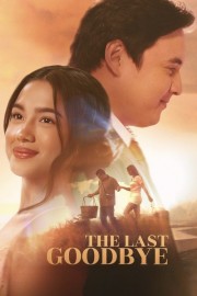 The Last Goodbye The Last Goodbye