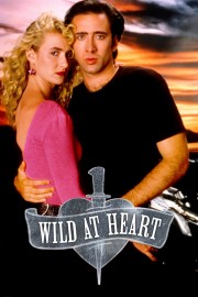 Wild at Heart-hd