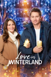 Watch free Love in Winterland movies online