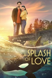 Watch free A Splash of Love movies online