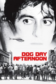 Watch free Dog Day Afternoon movies online