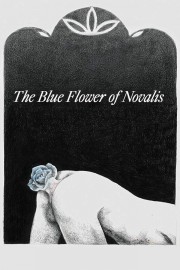 The Blue Flower of Novalis-hd