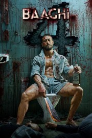 Watch free Baaghi 4 movies online