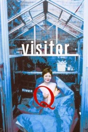 Visitor Q-hd