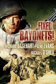 Watch free Fixed Bayonets! movies online