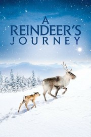 Watch free A Reindeer's Journey movies online