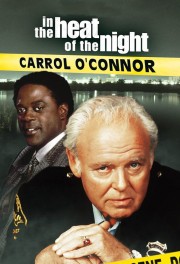 In the Heat of the Night-hd